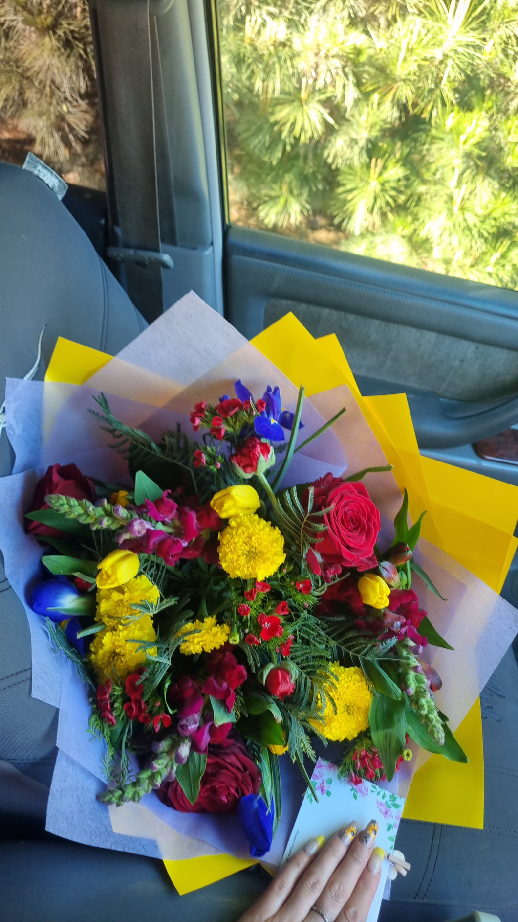 Bright and cheerful