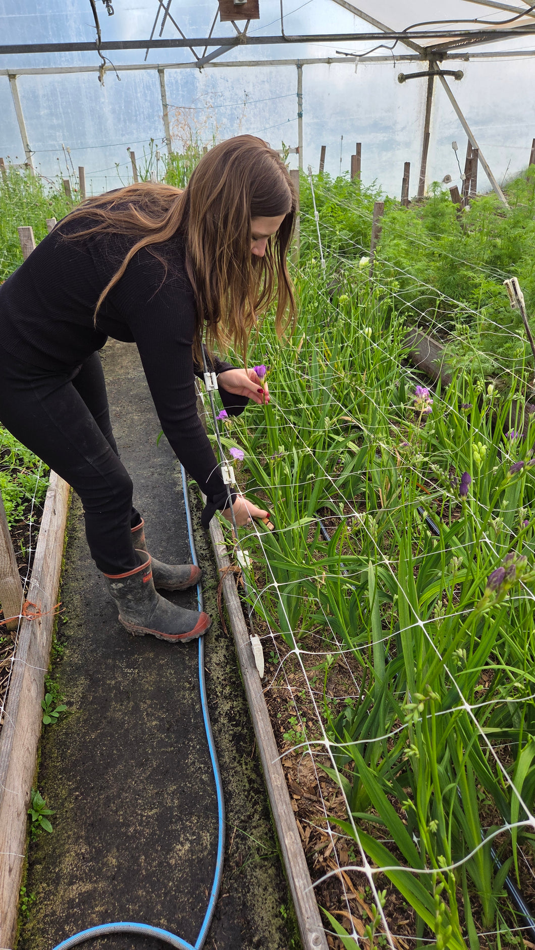 Pick your own Flowers and Bouquet class