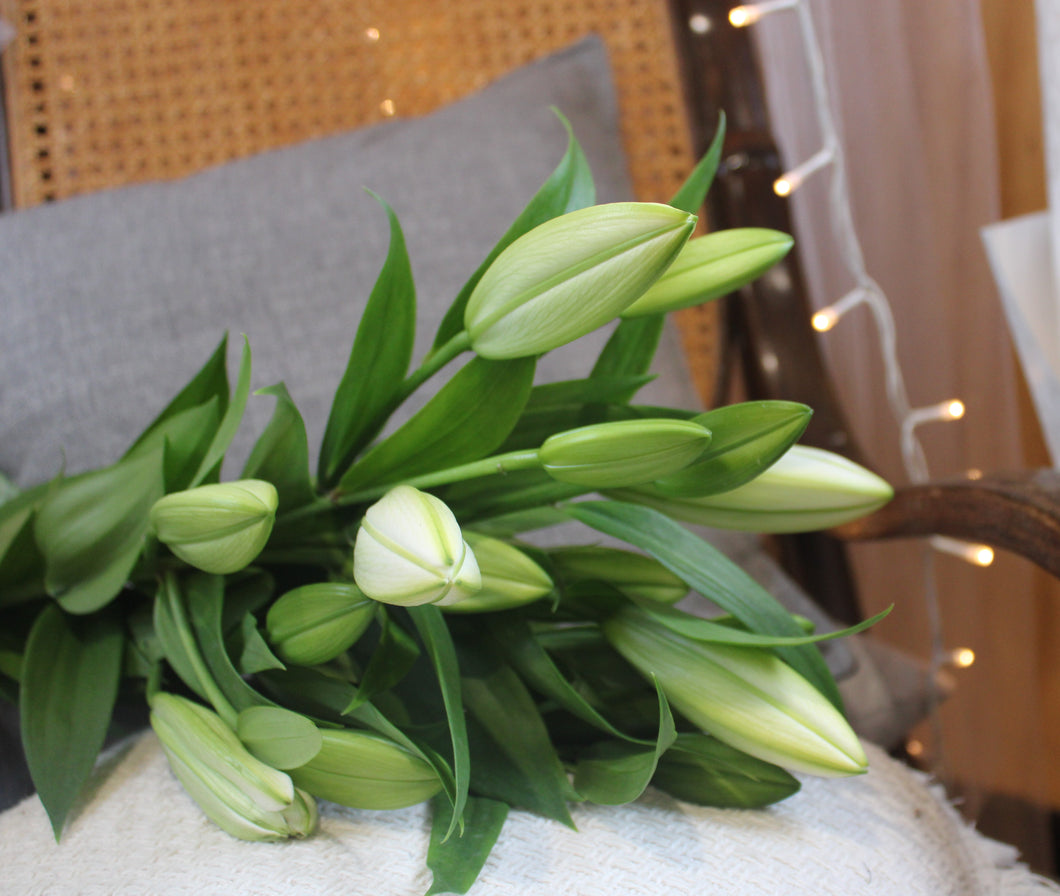 Oriental Lily's